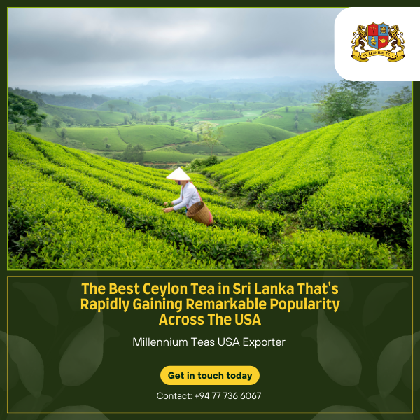 Ceylon Tea Exporting company to USA