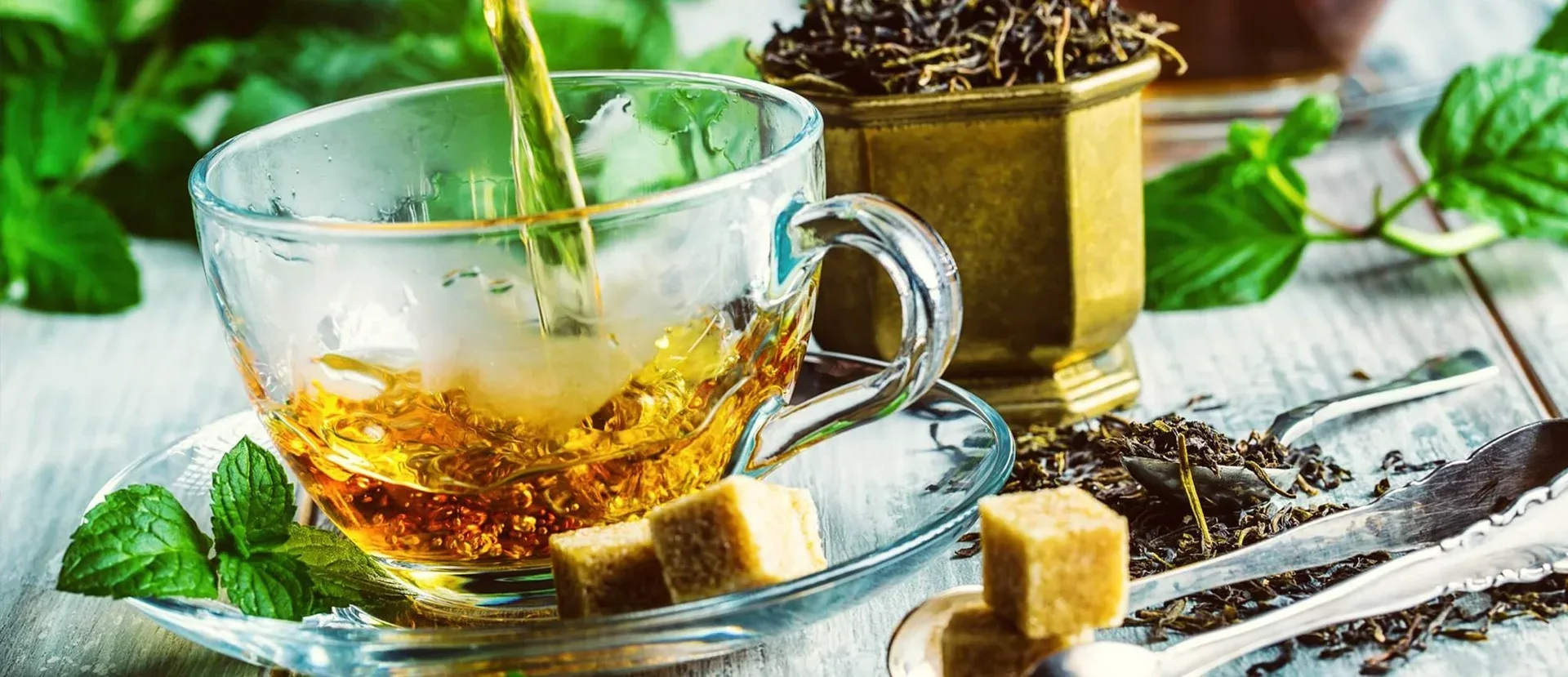 Ceylon Tea from sri lankan tea exporters