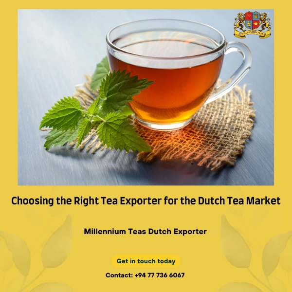 Choosing the Right Tea Exporter for the Dutch Tea Market