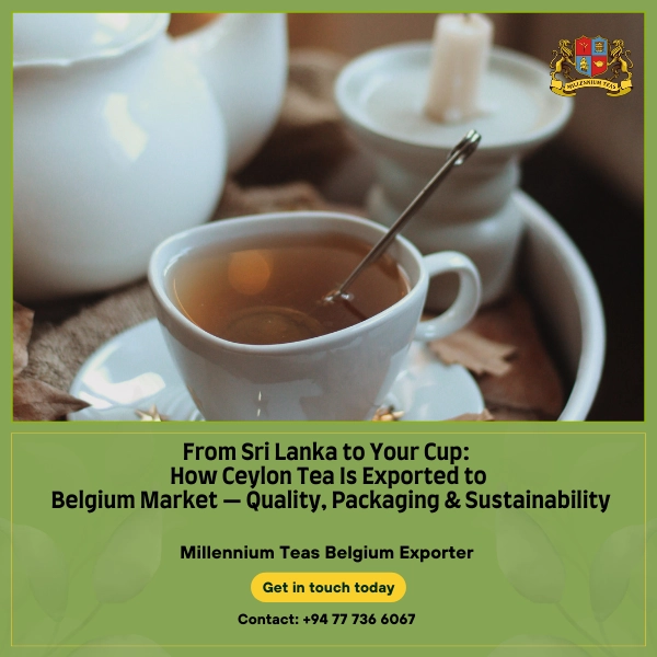 From Sri Lanka to Your Cup_ How Ceylon Tea Is Exported to Belgium Market - Quality, Packaging & Sustainability