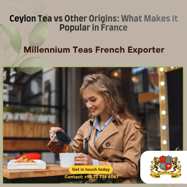 Ceylon Tea vs Other Origins: What Makes It Popular in France