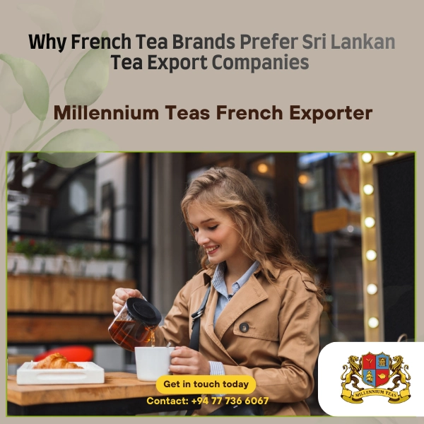 Ceylon Tea vs Other Origins: What Makes It Popular in France