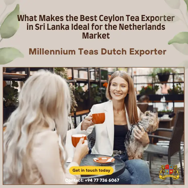 The Best Ceylon Tea in Sri Lanka That's Rapidly Gaining Remarkable Popularity Across The USA
