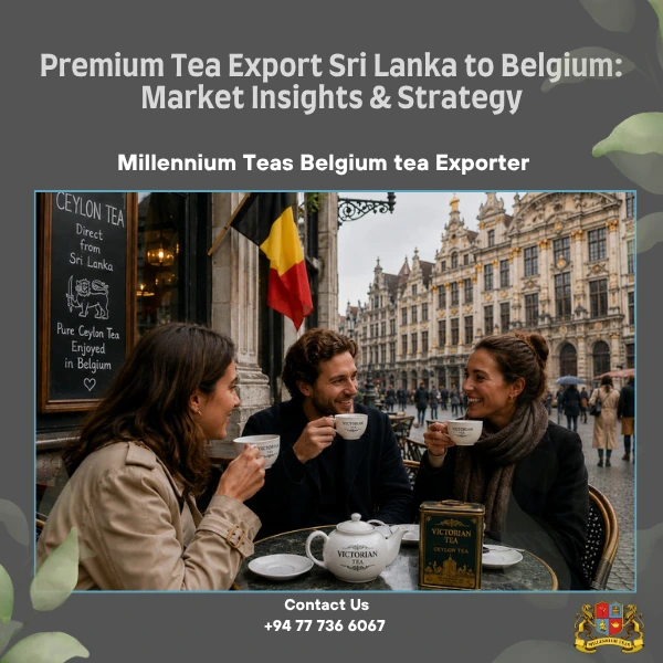 Belgium Tea Exporter - Millennium Teas